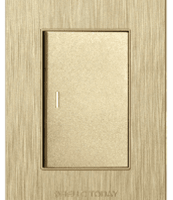1 Lever Switch Gold Design 2x4 - Hello Today