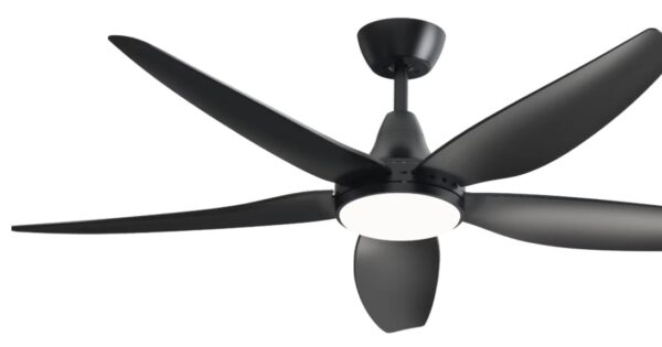 FL2303 BLACK FAN LIGHT - HELLO TODAY