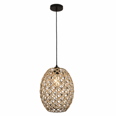 Brightstar PEN858 ROPE Metal and Rope Pendant