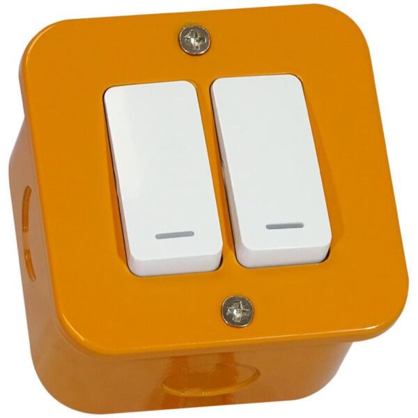 VETi 1 - Industrial Two Lever Switch - Industrial & Weatherproof
