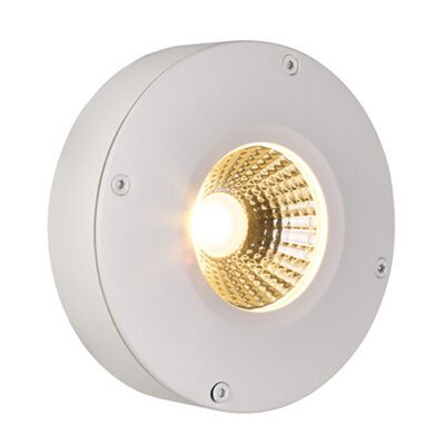 Eurolux Callisto Outdoor Downlight White LED 3W - O573W